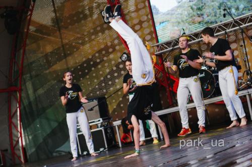 JPEG (39 of 106)